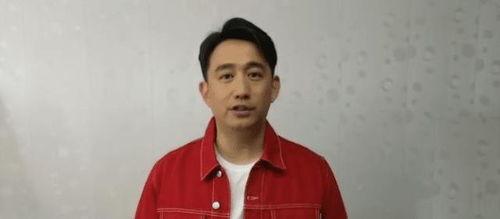 黄磊圈内人爆料了吗视频,揭秘娱乐圈不为人知的一面